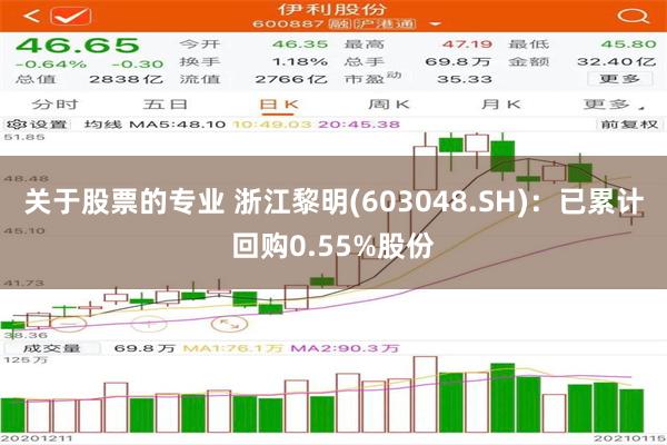 关于股票的专业 浙江黎明(603048.SH)：已累计回购0.55%股份