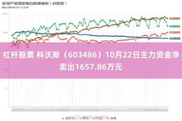 杠杆股票 科沃斯（603486）10月22日主力资金净卖出1657.86万元