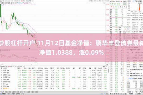 炒股杠杆开户 11月12日基金净值：鹏华丰登债券最新净值1.0388，涨0.09%