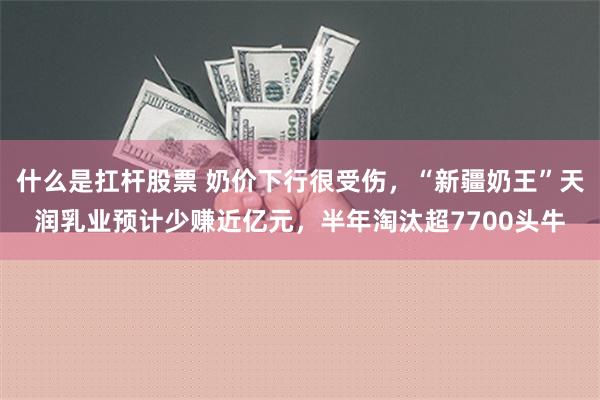 什么是扛杆股票 奶价下行很受伤，“新疆奶王”天润乳业预计少赚近亿元，半年淘汰超7700头牛